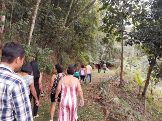 Fotos